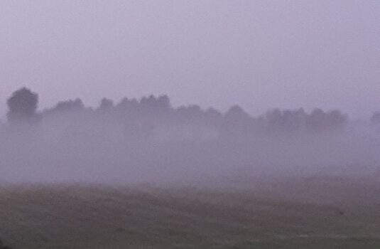 Mgła/smog zanieczyszczone powietrze