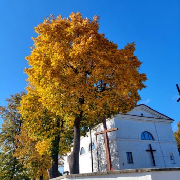 Kościół w Mircu jesienią